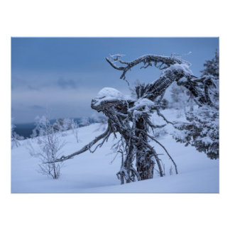 Wooden alien winter  poster