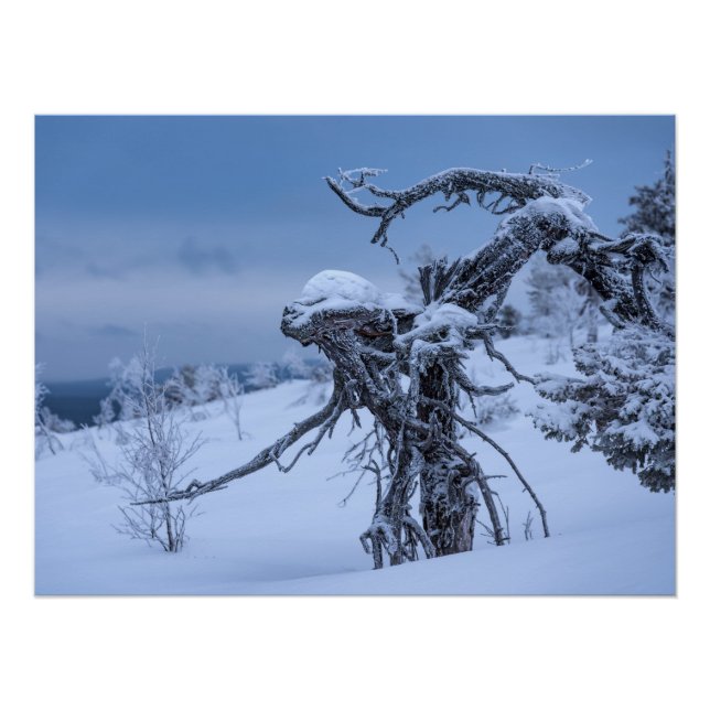 Wooden alien winter  poster (Front)