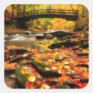 Wooden Bridge and Creek in Fall Square Sticker