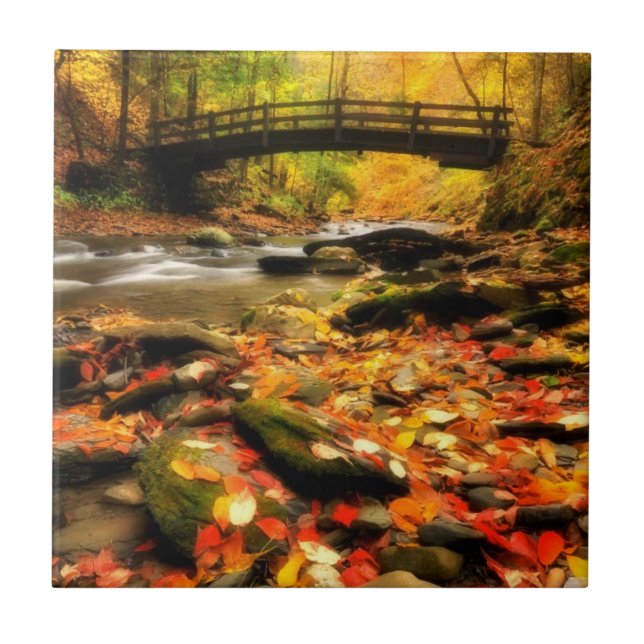 Wooden Bridge and Creek in Fall Tile (Front)