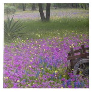 Wooden Cart in field of Phlox, Blue Bonnets with Ceramic Tile