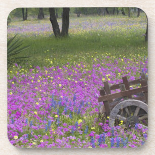Wooden Cart in field of Phlox, Blue Bonnets with Coaster