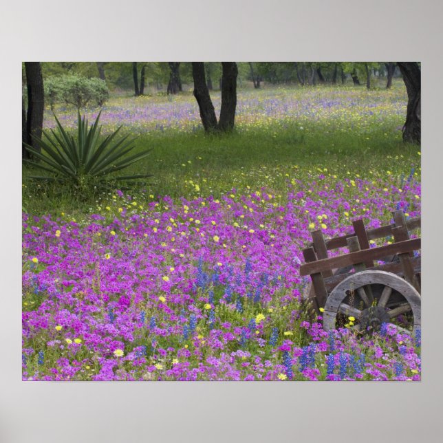 Wooden Cart in field of Phlox, Blue Bonnets with Poster (Front)