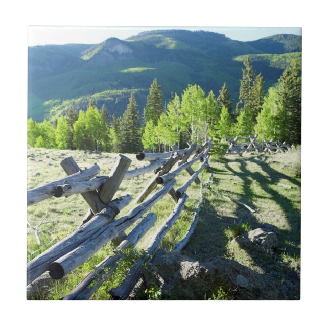 Wooden Fenceline Ceramic Tile (Front)