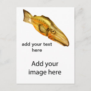 wooden fish postcard