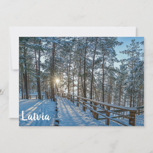 Wooden path across snowy winter forest (Front)