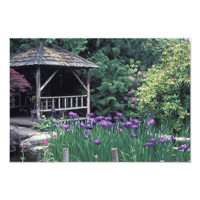 Wooden pavilion in the Sunken Garden in Photo Print (Front)