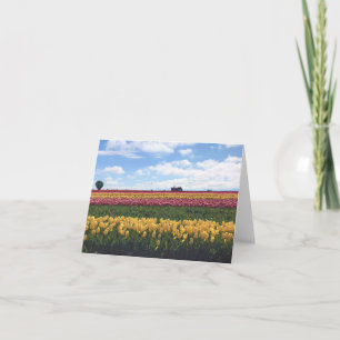 Wooden Shoe Tulip Farm, Woodburn, Oregon Card