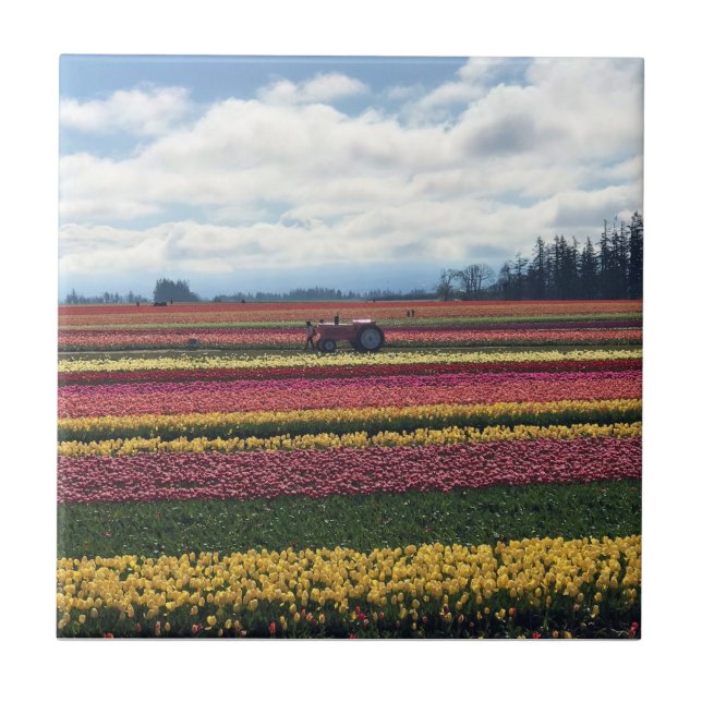 Wooden Shoe Tulip Farm, Woodburn, Oregon Ceramic Tile (Front)