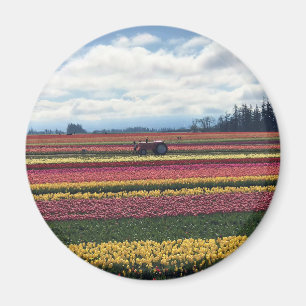 Wooden Shoe Tulip Farm, Woodburn, Oregon Magnet