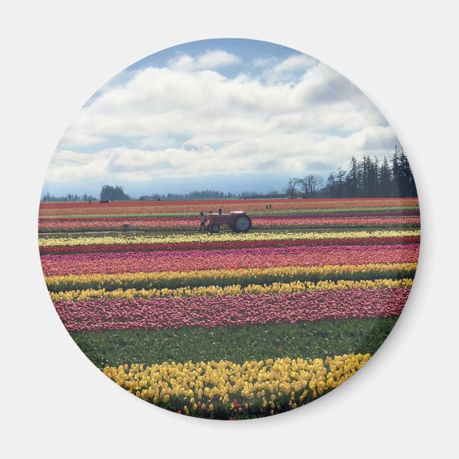 Wooden Shoe Tulip Farm, Woodburn, Oregon Magnet (Front)