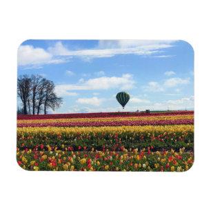 Wooden Shoe Tulip Farm, Woodburn, Oregon Magnet