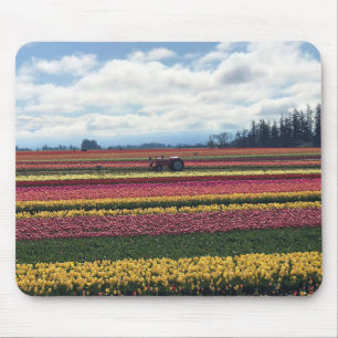 Wooden Shoe Tulip Farm, Woodburn, Oregon Mouse Pad