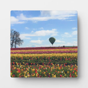 Wooden Shoe Tulip Farm, Woodburn, Oregon Plaque