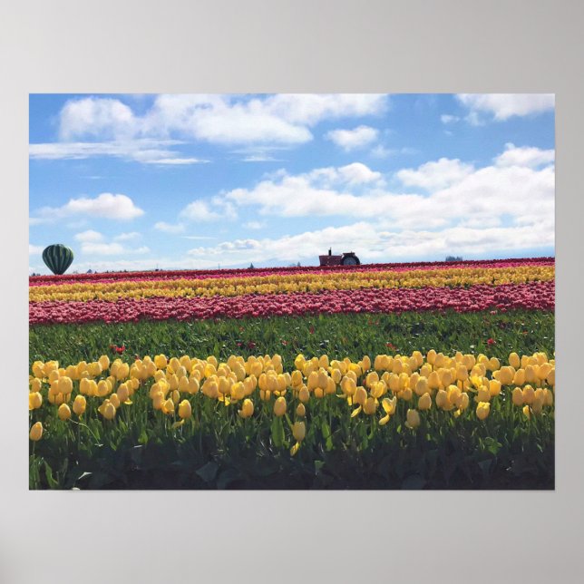 Wooden Shoe Tulip Farm, Woodburn, Oregon Poster (Front)
