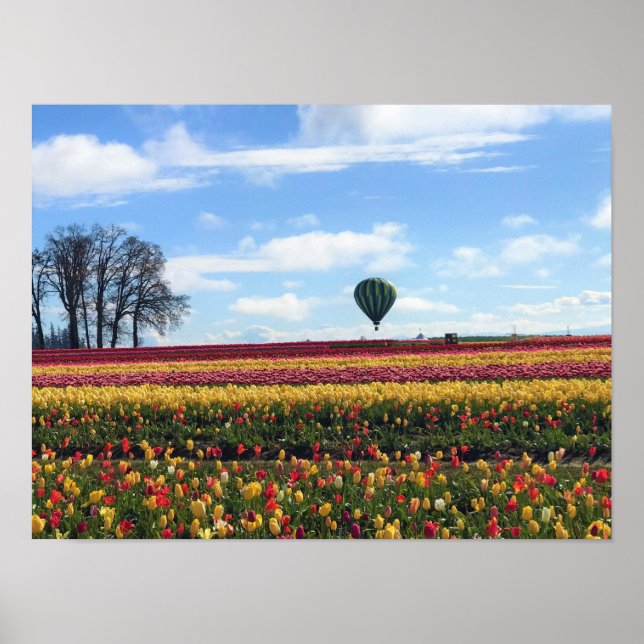 Wooden Shoe Tulip Farm, Woodburn, Oregon Poster (Front)