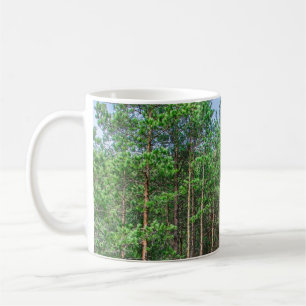 Wooden trail in pine forest coffee mug