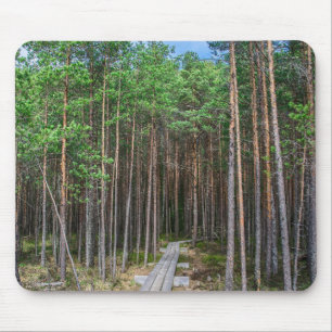 Wooden trail in pine forest mouse pad