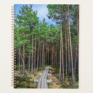 Wooden trail in pine forest planner