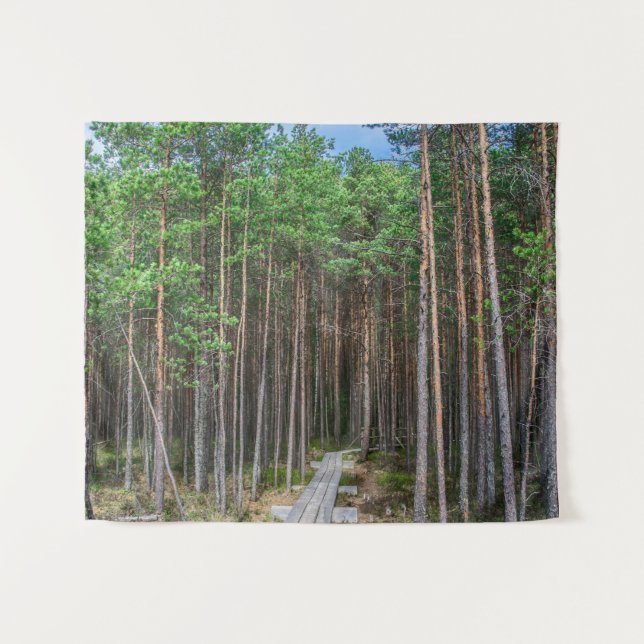 Wooden trail in pine forest tapestry (Front (Horizontal))
