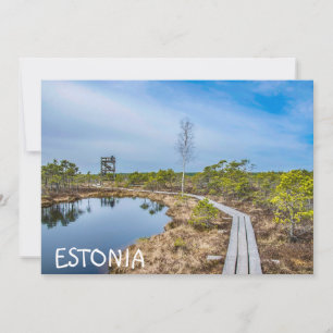Wooden trail over swamp in Estonia