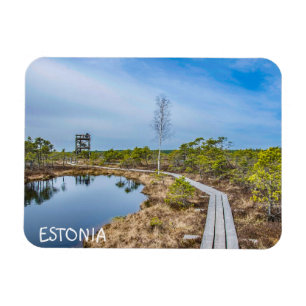 Wooden trail over swamp in Estonia Magnet