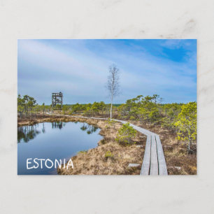 Wooden trail over swamp in Estonia Postcard
