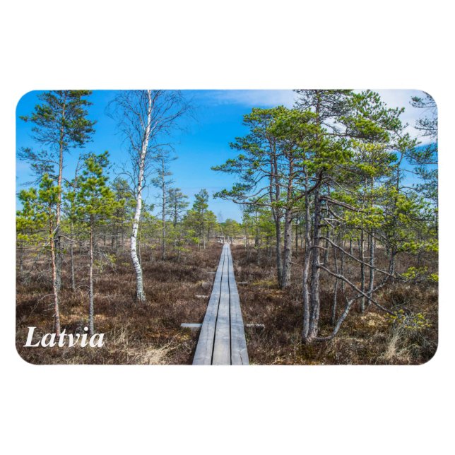 Wooden trail over swamp magnet (Horizontal)