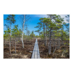 Wooden trail over swamp poster