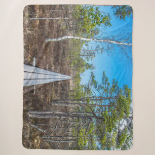 Wooden trail over swamp sherpa blanket