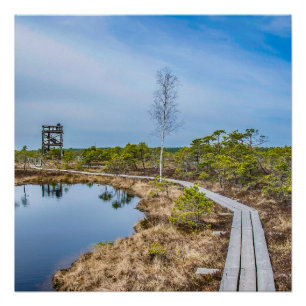 Wooden trail over swamp with tower poster