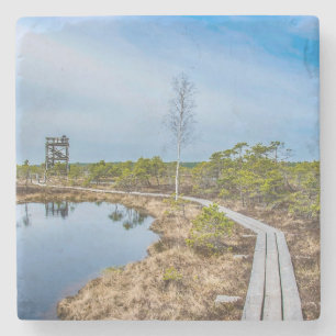 Wooden trail over swamp with tower stone coaster