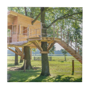Wooden tree house in oak tree with grass tile