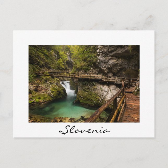 Wooden walkway through Vintgar Gorge canyon Postcard (Front)