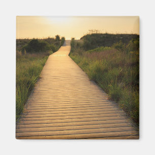 Wooden Walkway to Beach Magnet