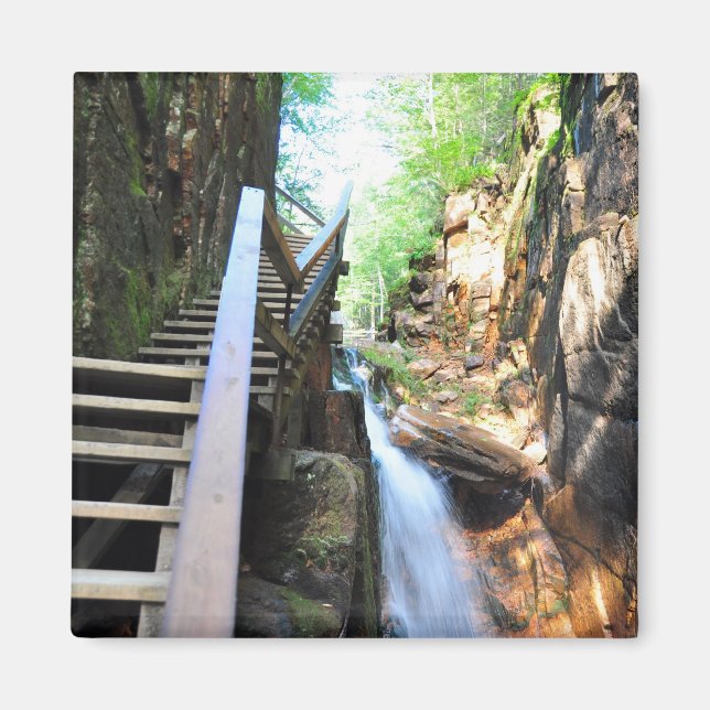 Wooden Walkway Waterfall Flume Gorge NH Magnet (Front)
