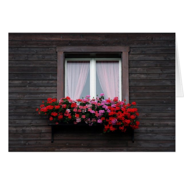 wooden window (Front Horizontal)