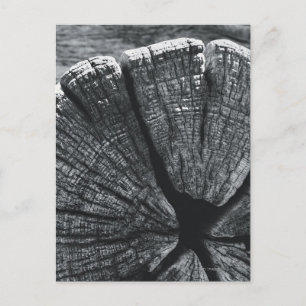 Woodgrain detail postcard