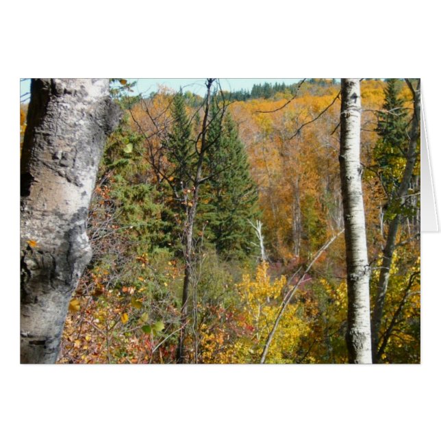 woodland (Front Horizontal)