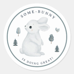 Woodland Animal Bunny Teacher Reward Motivational Classic Round Sticker