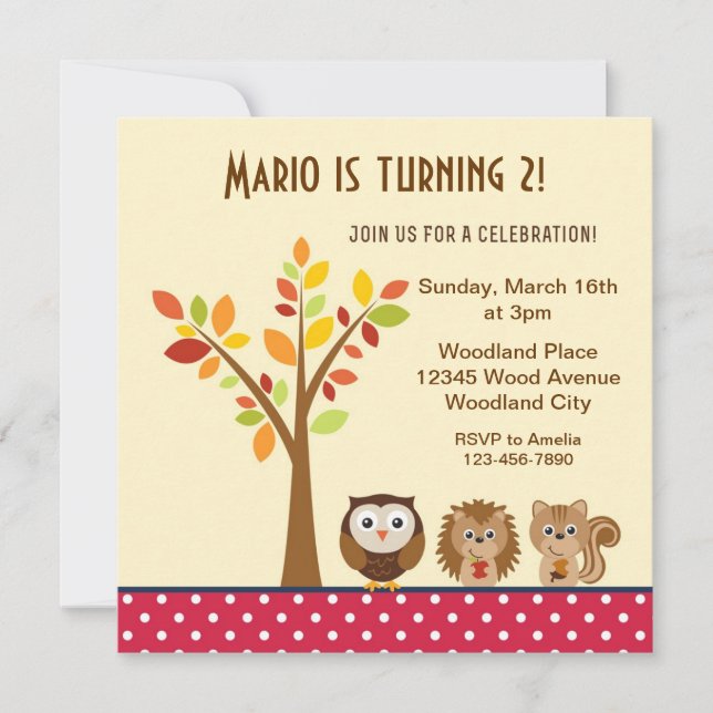 Woodland Animal Children Birthday Party Invite (Front)
