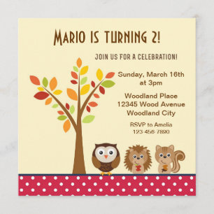 Woodland Animal Children Birthday Party Invite