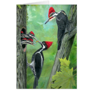 Woodland Animal Woodpecker family