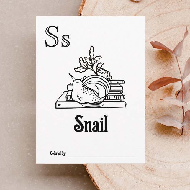 Woodland Animals ABC Colouring Baby Shower Activit Postcard (Letter S - Color Your Own Baby's First ABC's Keepsake Cards)