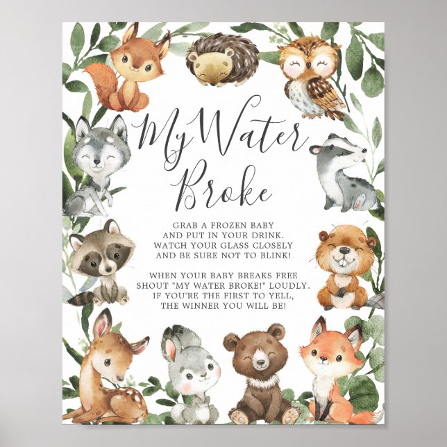 Woodland Animals Baby Shower My Water Broke Poster (Front)