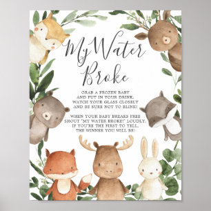 Woodland Animals Baby Shower My Water Broke Sign