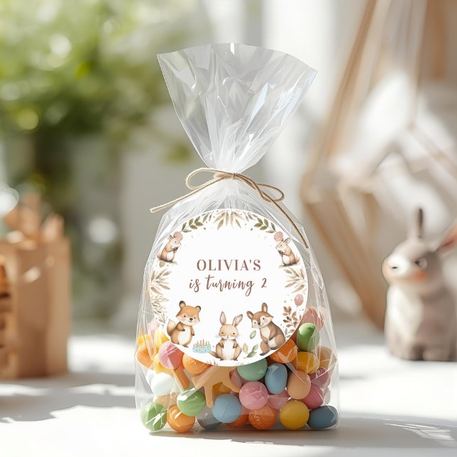 Woodland Animals Birthday Party Classic Round Sticker (Creator Uploaded)