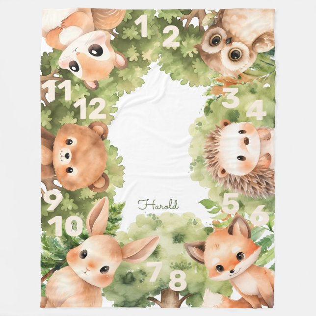 Woodland Animals Boy Baby Shower Milestone Fleece Blanket (Front)