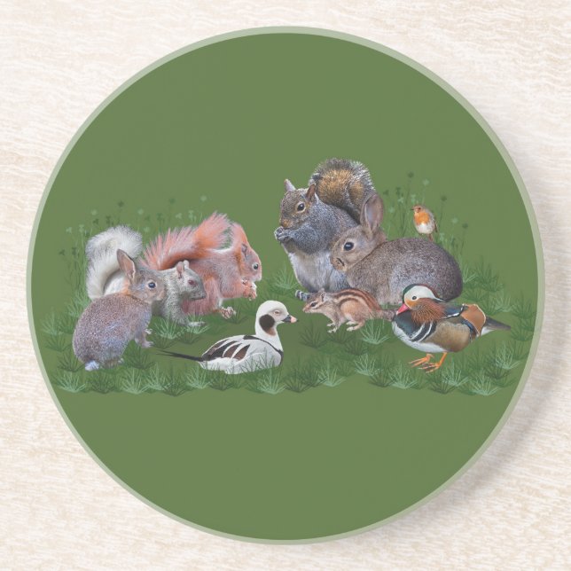 Woodland Animals Coaster (Front)