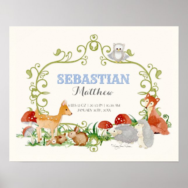 Woodland Animals Deer Fox Boy Newborn Birth Stats Poster (Front)